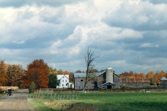 There's nothing nicer than taking a drive through Amish country in October.  (October 1988)© Carolyn S. Murray 1988