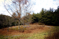This is a picture taken in November, 1997 of the John McMahan Cemetery, Blalock Hollow, Jones Cove, Sevier County, Tennessee.