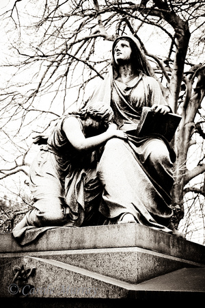 This is a CHAMBERLAIN monument in Lakeview Cemetery.