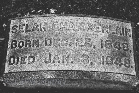 Selah Chamberlain Grave Lakeview Cemetery Cleveland Ohio 1848 1849
