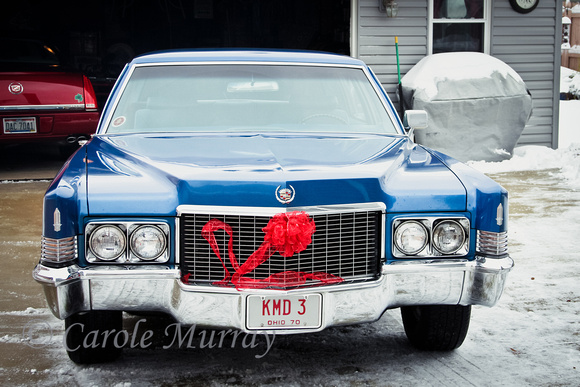 1970 Cadillac Fleetwood Christmas Greeting Red Bow