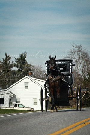Geauga County Ohio Amish