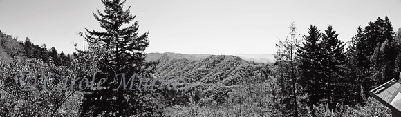 Great Smoky Mountains Photograph Print View