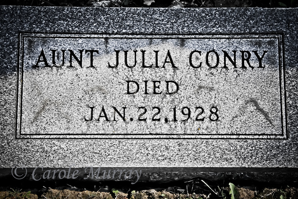 St. Mary's Catholic Cemetery Wakeman Huron County Ohio Julia Conry Grave Photograph
