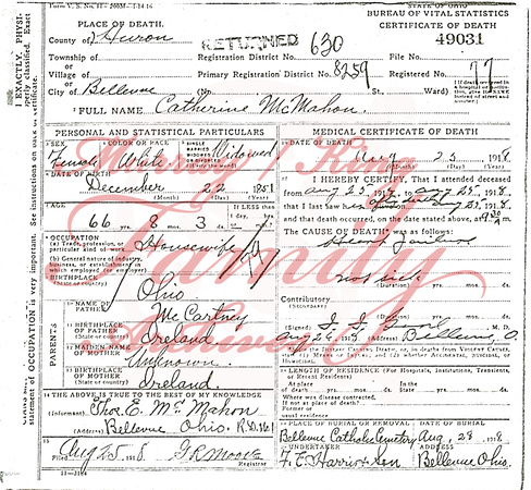 August 23, 1918:  Catherine McCartney McMahon death certificate