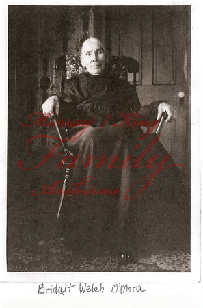 Bridget Welch O'Mara (1834 - 1911)