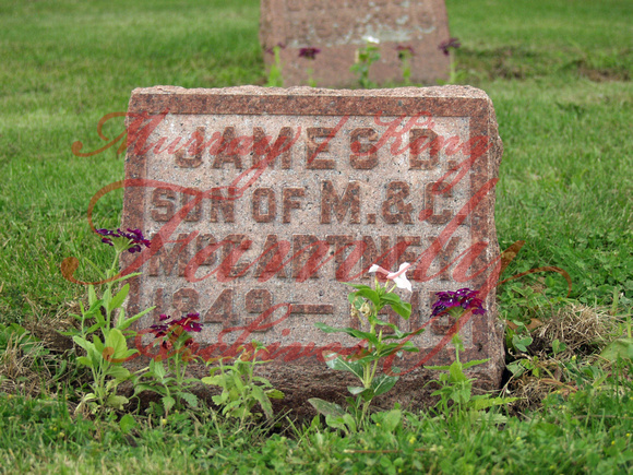 James P. McCartney (1849 - 1915)