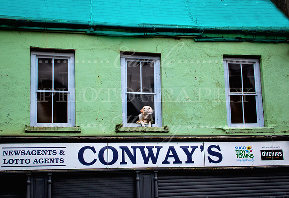 Conway's Newsagent, Sligo, Co. Sligo, Ireland