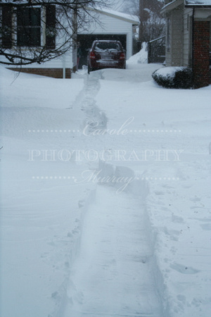 The path Chris made from our house to theirs.  (February 14, 2007)© Carolyn S. Murray 2007