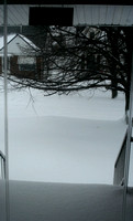 The view from our front door.   Brrrrr!  (February 14, 2007)© Carolyn S. Murray 2007