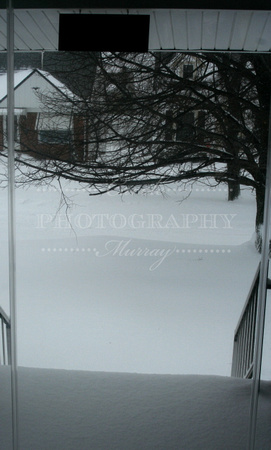 The view from our front door.   Brrrrr!  (February 14, 2007)© Carolyn S. Murray 2007