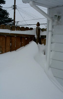 The snowdrifts were so high, this one almost was as tall as our 6' fence!  (February 14, 2007)© Carolyn S. Murray 2007