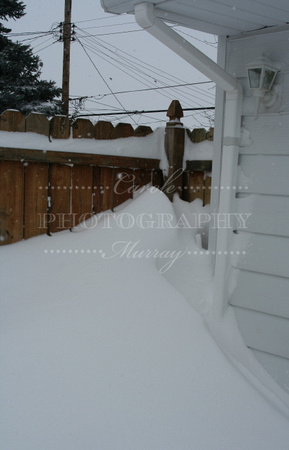 The snowdrifts were so high, this one almost was as tall as our 6' fence!  (February 14, 2007)© Carolyn S. Murray 2007
