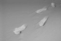 Footprints in the snow.  (February 13, 2007)© Carolyn S. Murray 2007