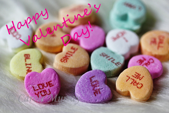 Valentine Candy Hearts Message Photograph Print For Sale Purchase Buy