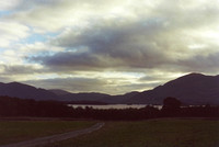 National Park, Killarney, Co. Kerry