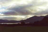 National Park, Killarney, Co. Kerry