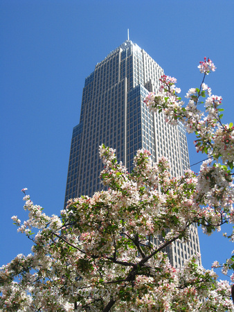 Key Tower in the spring.  (April 2010)© Carolyn S. Murray 2010