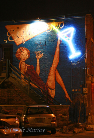 And here's the mural at night.  (March 2010)© Carolyn S. Murray 2010