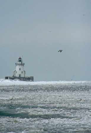 This is definitely a different view than we see when we come out to see the lighthouse during the nice weather.  (January 2010)© Carolyn S. Murray 2010