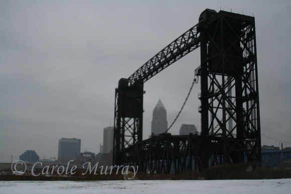 Here's another view of Cleveland, from Wendy Park.  (January 2010)© Carolyn S. Murray 2010
