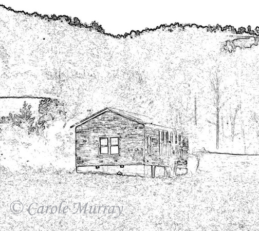 This is the old one room schoolhouse that Carole's father and siblings attended -- and which her grandparents actually ended up owning!© Carolyn S. Murray 1991