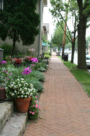 Dublin Ohio Sidewalk Flowers