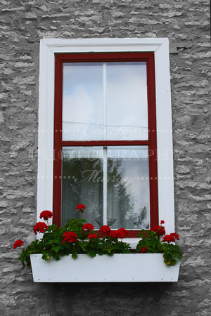 Dublin Ohio Window,