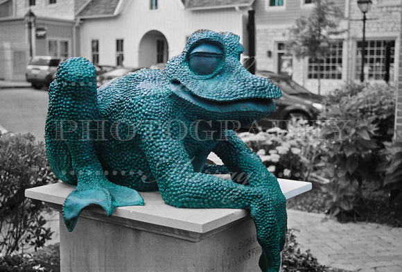 You can't think of Dublin, without thinking of the Frog Statue!