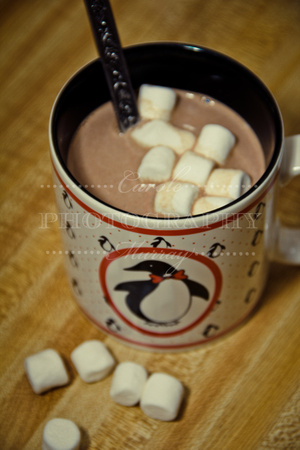 When we came inside, it was time for some hot chocolate!  (January 15, 2011)© Carolyn S. Murray 2011