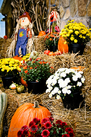 Tennessee Welcome Center I-75 South Autumn Decorations