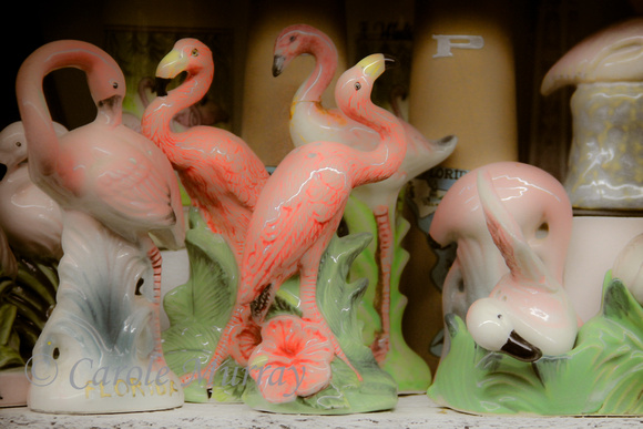 Salt Pepper Shaker Museum Gatlingburg Tennessee Flamingo