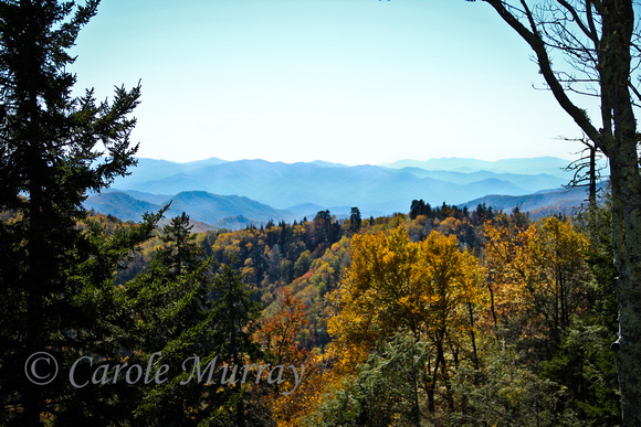 Great Smoky Mountains Tennessee Fall Foliage