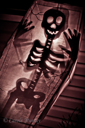Skeleton Halloween Decoration
