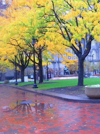 Cleveland Public Square Fall Autumn Foliage Rain
