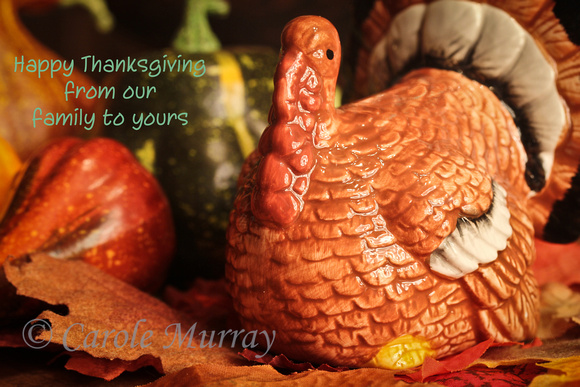 Thanksgiving Greeting Turkey Gourds