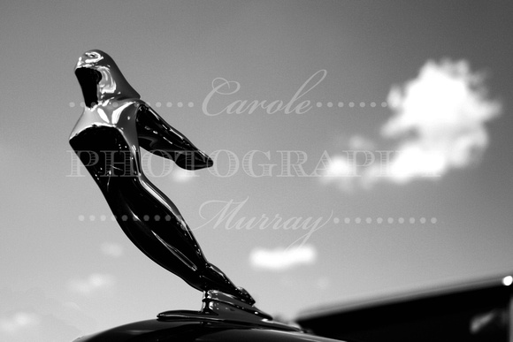 Cadillac Hood Ornament Photograph Print For Sale Purchase