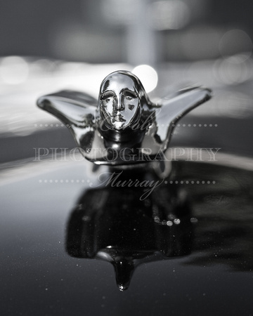 1950 Cadillac Hood Ornament Black and White Photograph Print For Sale Purchase