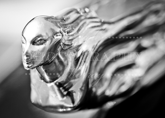 Cadillac Flying Lady Hood Ornament Black and White Photograph Print For Sale Purchase