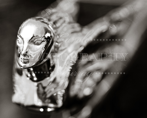 Cadillac Flying Lady Hood Ornament Black and White Photograph Print For Sale Purchase