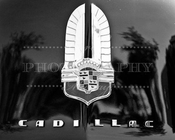 Cadillac Front End Hood Photograph Print Black and White Purchase For Sale