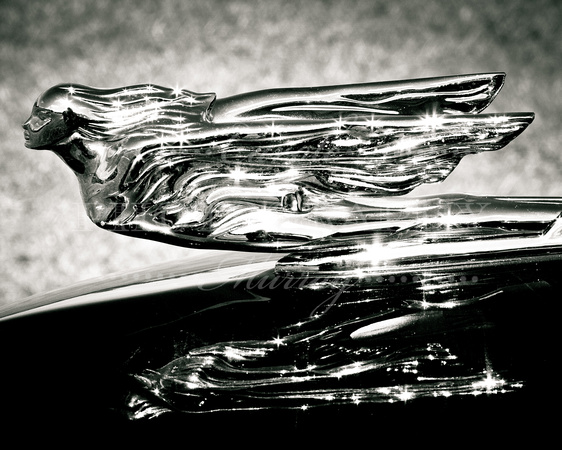 Cadillac Flying Lady Hood Ornament Photograph Print Black and White Purchase For Sale Buy