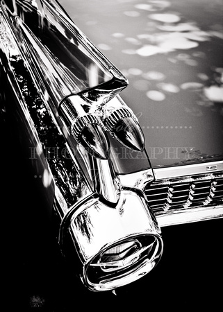 1959 Cadillac Fins Black and White Photograph Print Purchase For Sale Buy