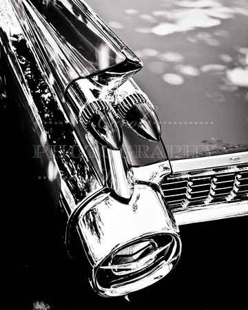 1959 Cadillac Fins Black and White Photograph Print Purchase For Sale Buy