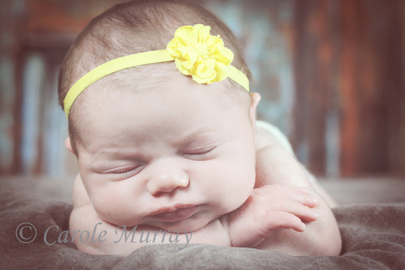 Newborn Baby Photo Portrait Sleeping