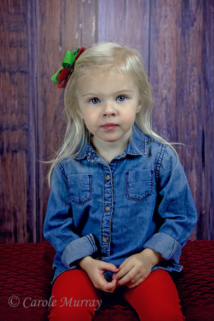 Toddler Girl Christmas Portrait