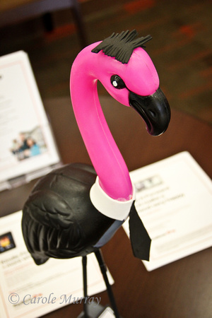 Flamingo Mania 2013, Parma, Ohio