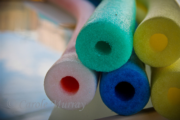 Swimming Pool Noodles