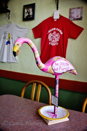 Parma Ohio Flamingo Mania 2013