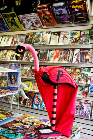 Flamingo Mania 2013, Parma, Ohio